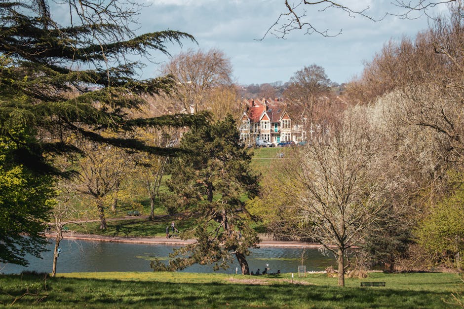 A paved pathway through Nonsuch Park in Cheam during daytime, lined with large deciduous trees casting dappled shadows on the ground, with several empty park benches along the sides. In the background