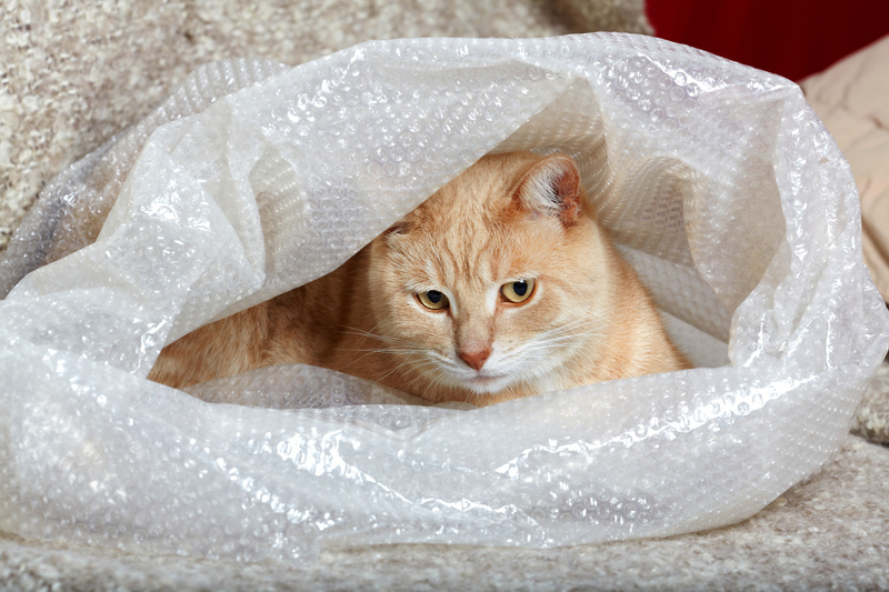 Protect Your Sofa: Essential Advice for Long-Term Preservation